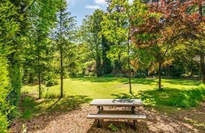 Vakantie op de veluwe 1